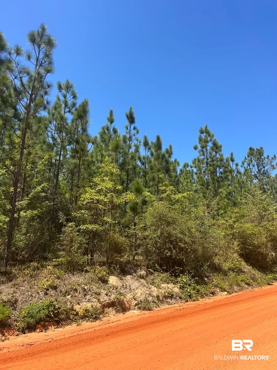 0 Highway 168, Century, FL 32535 - #2