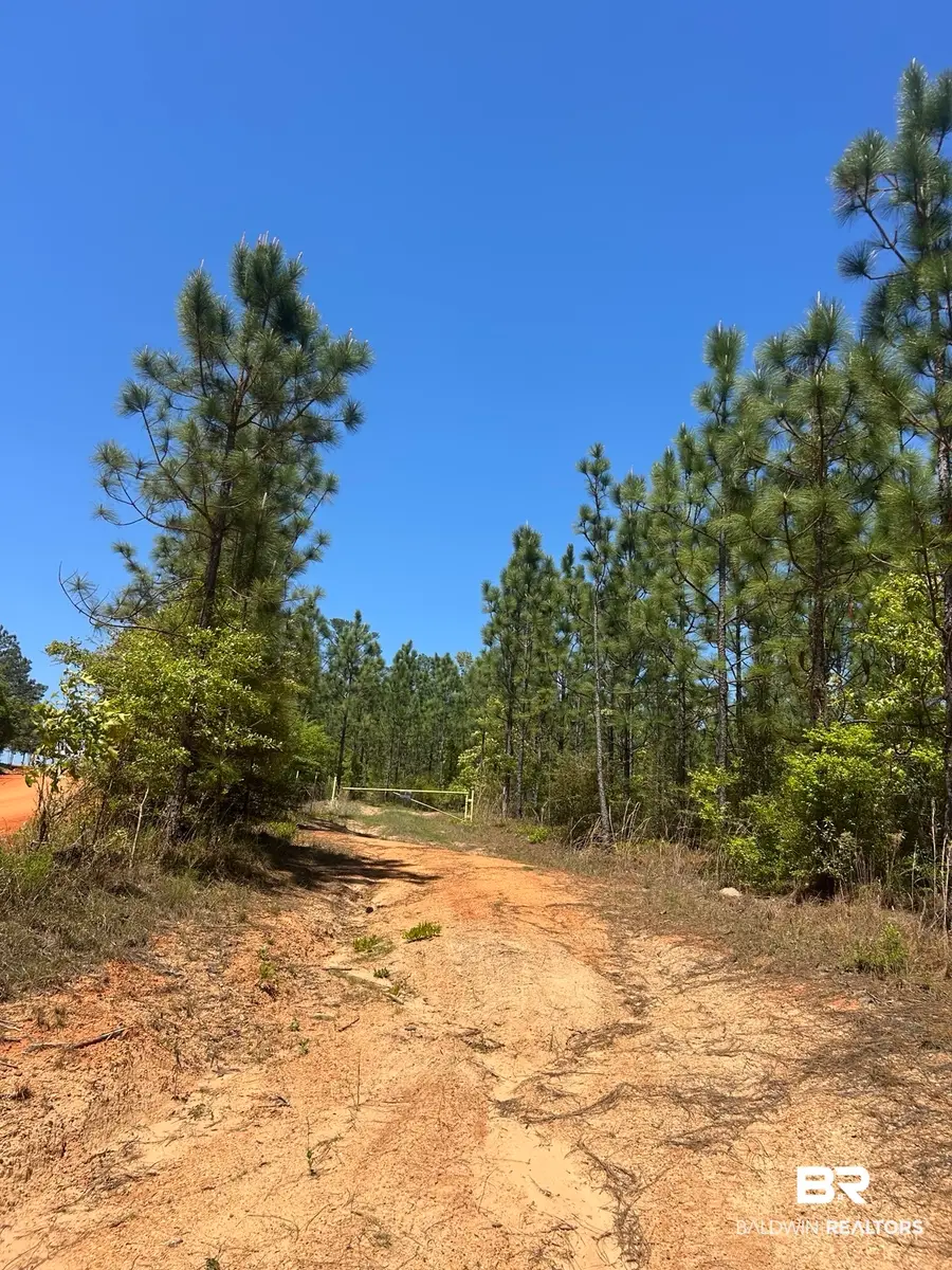 0 Highway 168, Century, FL 32535 - #3