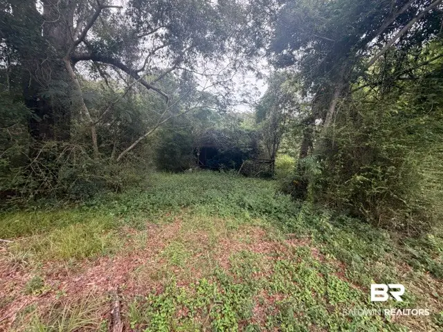 0 Ridge Rd, Brewton, AL  - #2