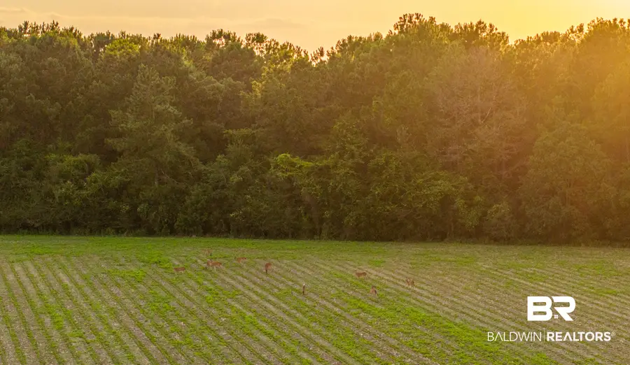 0 Pine Road S, Stapleton, AL 36578 - #3
