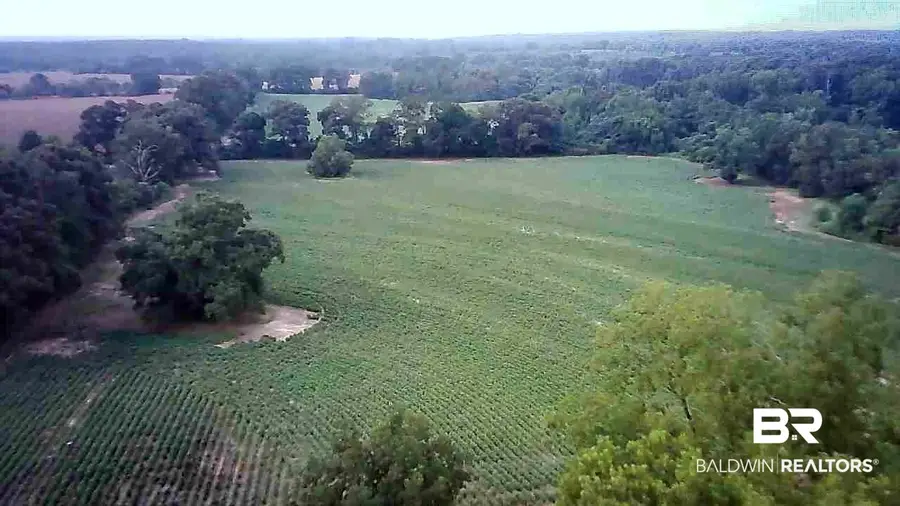 138 County Road 34, Evergreen, AL 36401 - #3