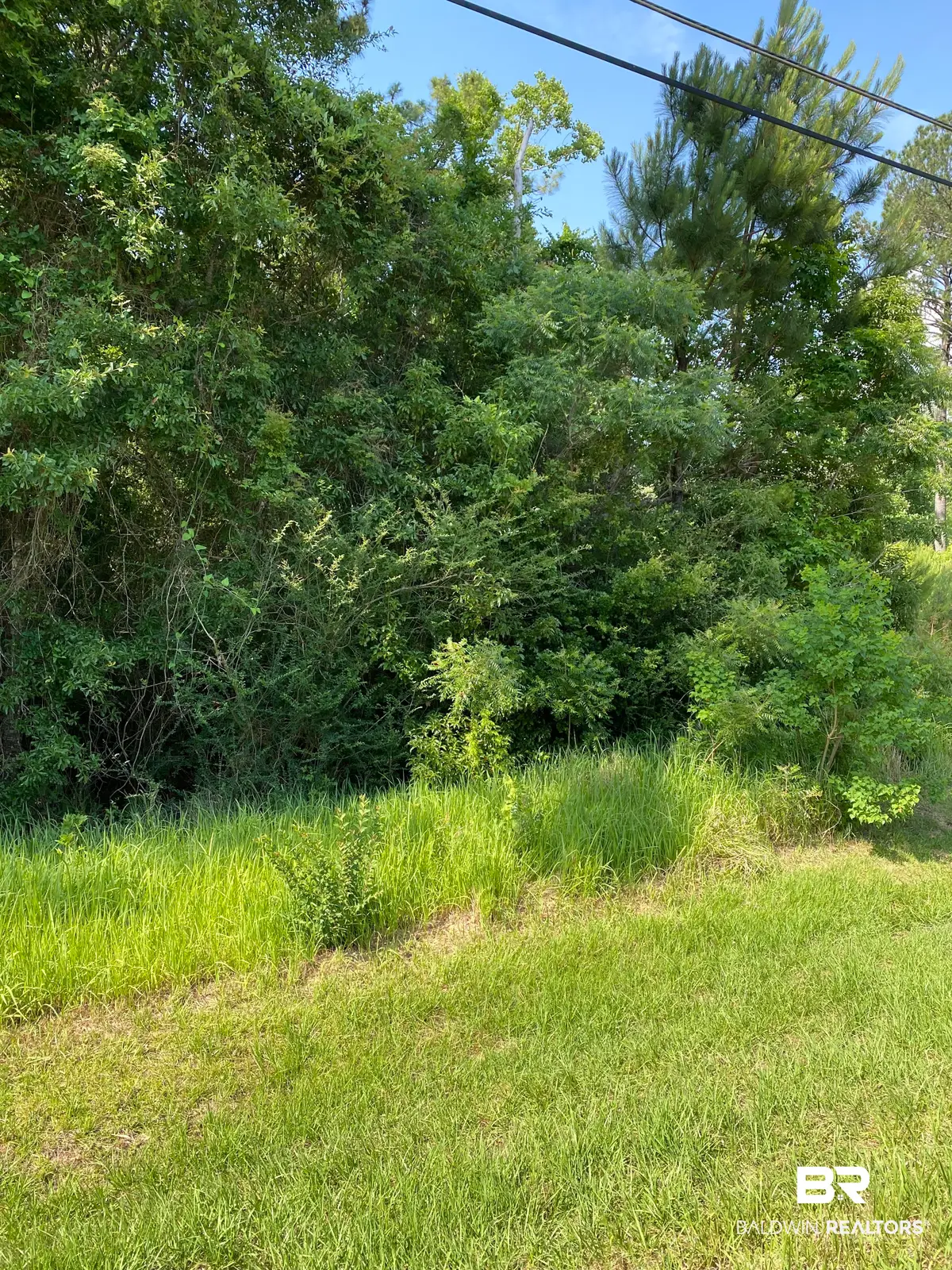 51 Steelwood Ridge Road, Loxley, AL 36551 - #1