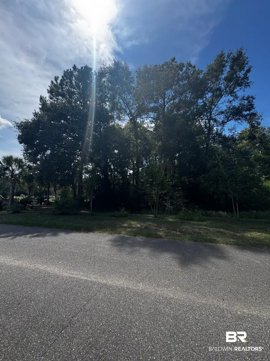 7 Beckham Court #LOT 7, Mount Vernon, AL 36560 - #3