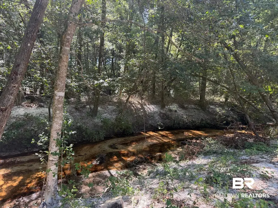 9190 Highway 29, Brewton, AL 36426 - #3