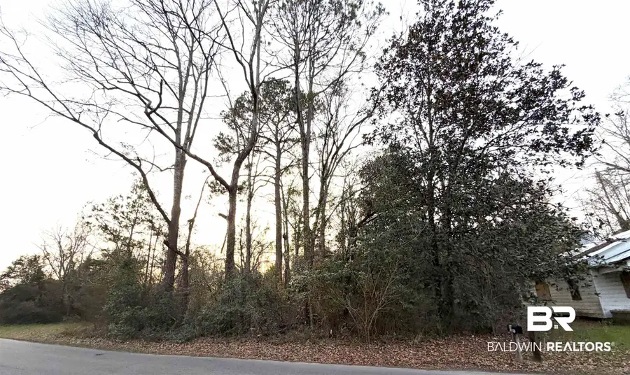 Lt 11 Blk 3 Martin Luther King Drive, Brewton, AL 36427 - #3