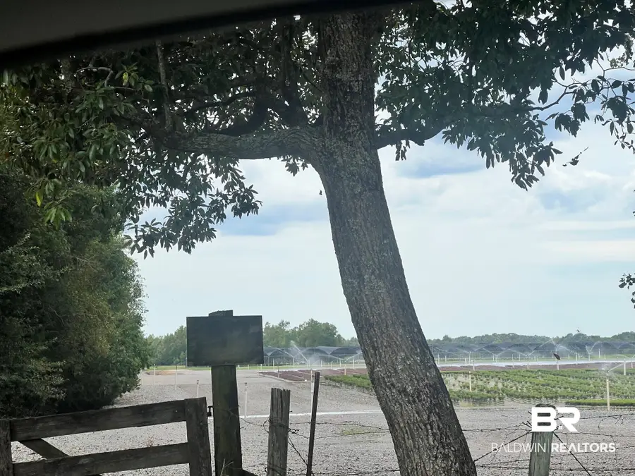 0 Old Pascagoula Road, Grand Bay, AL 36541 - #3