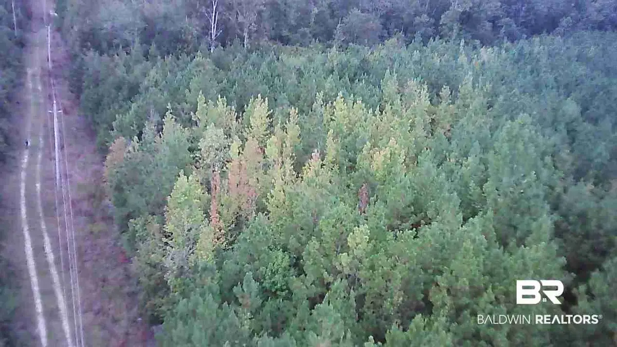 0-1   US Highway 31 /us Highway 31, Evergreen, AL 36401 - #1