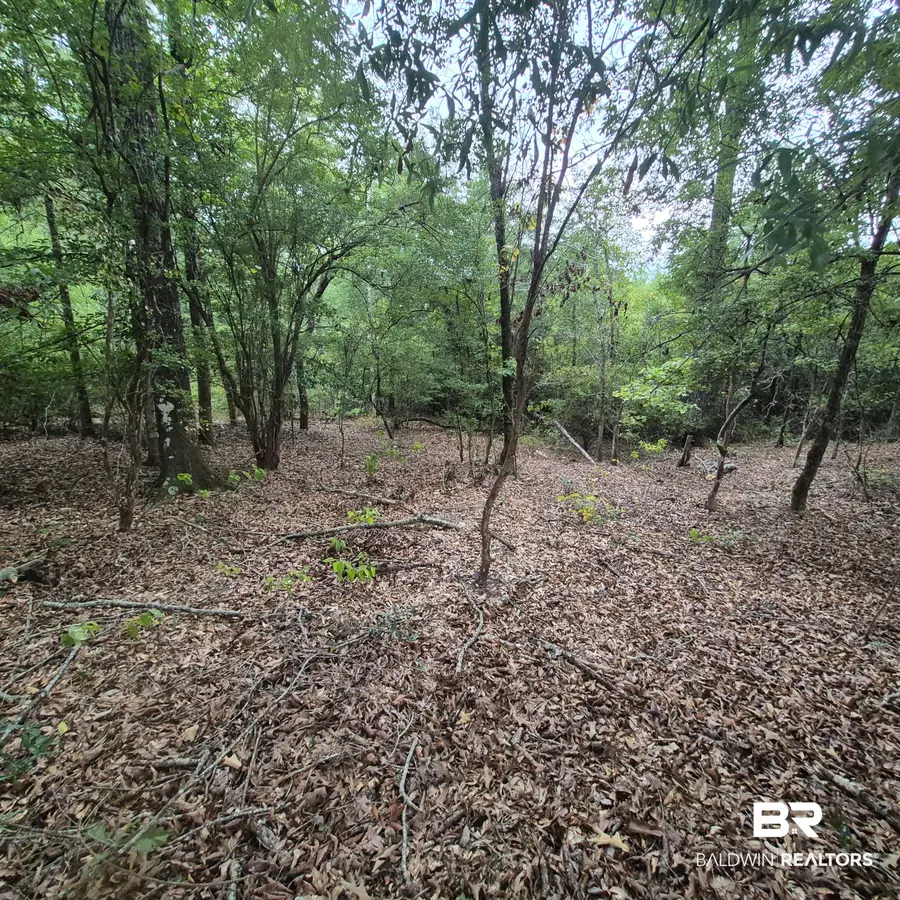 0-1   US Highway 31 /us Highway 31, Evergreen, AL 36401 - #3