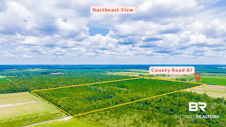 00 Co Road 87, Elberta, AL 36530 - #2