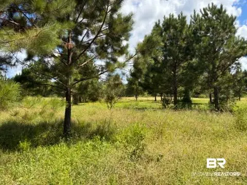 0 Boros Road, Elberta, AL 