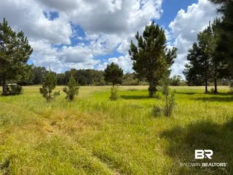 0 Boros Road, Elberta, AL  - #2
