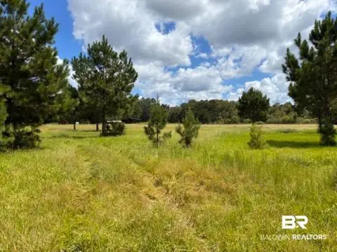 0 Boros Road, Elberta, AL  - #3