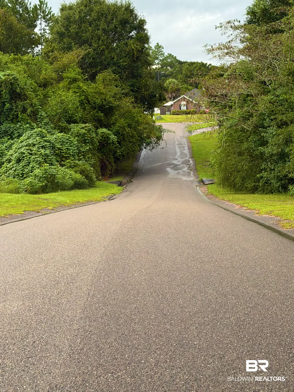 Lot 25 Haley Drive, Mobile, AL 36618 - #1