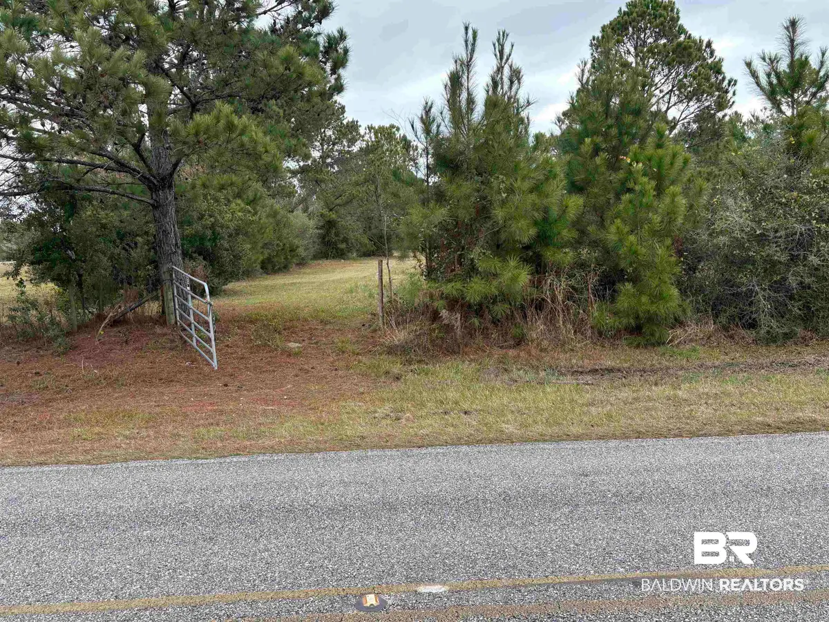 31849 Randolf Avenue, Lillian, AL 36549 - #1