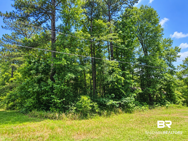 0 Denny Street, Mount Vernon, AL 36560