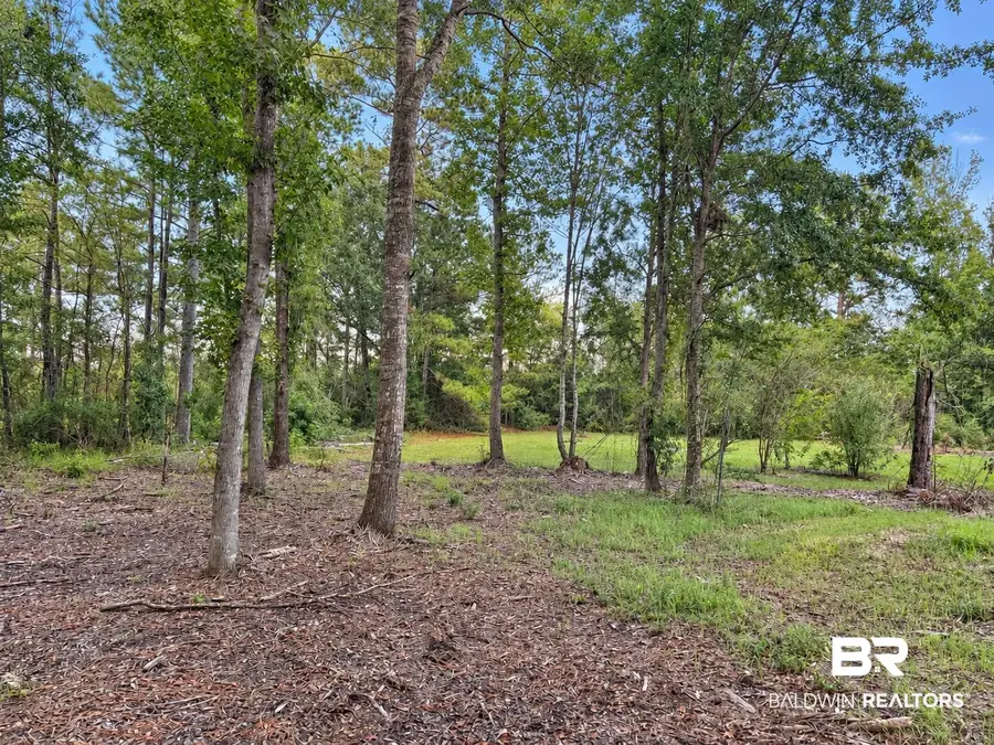 0 Denny Street, Mount Vernon, AL 36560 - #2