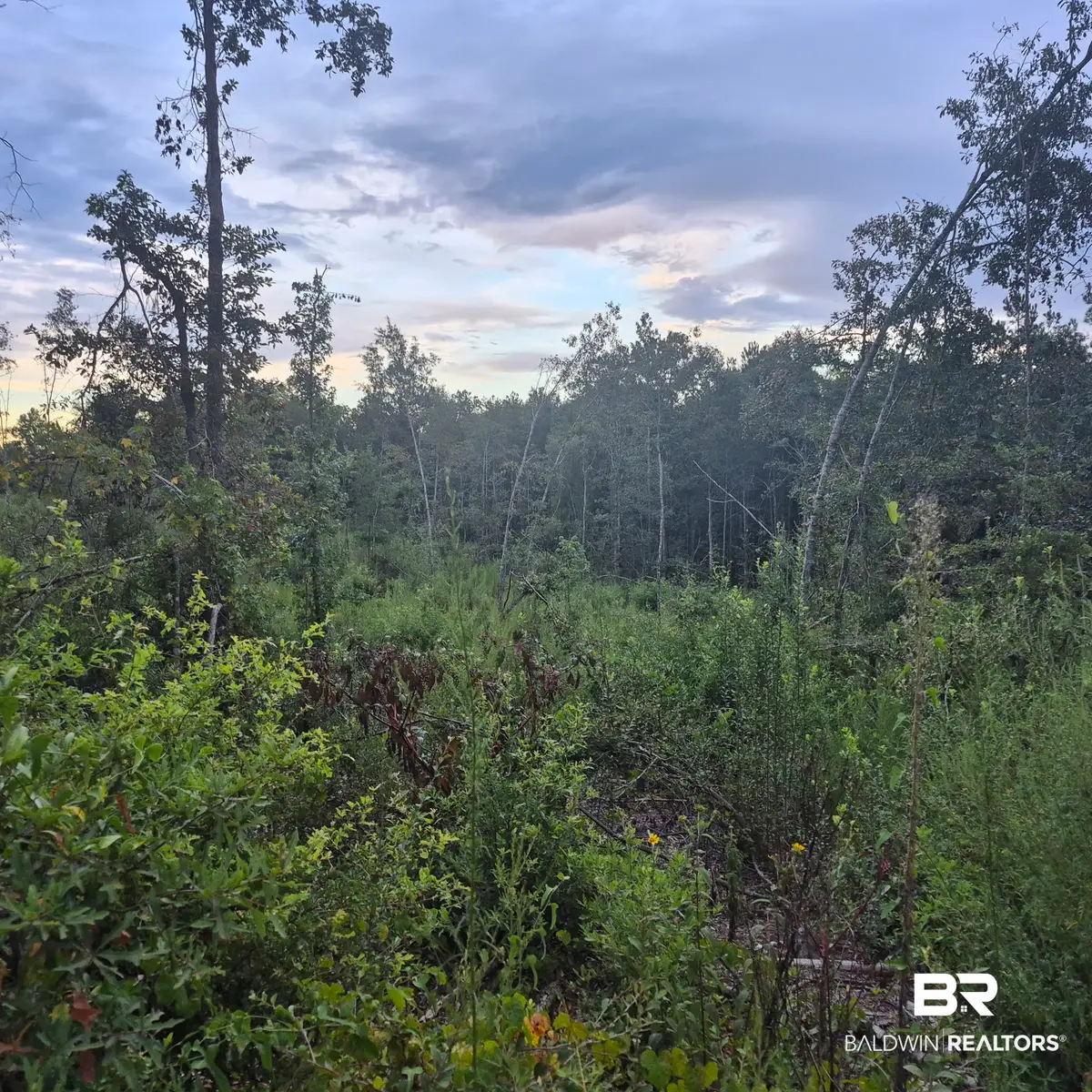 0 Antioch Church Road, Evergreen, AL 36401 - #1