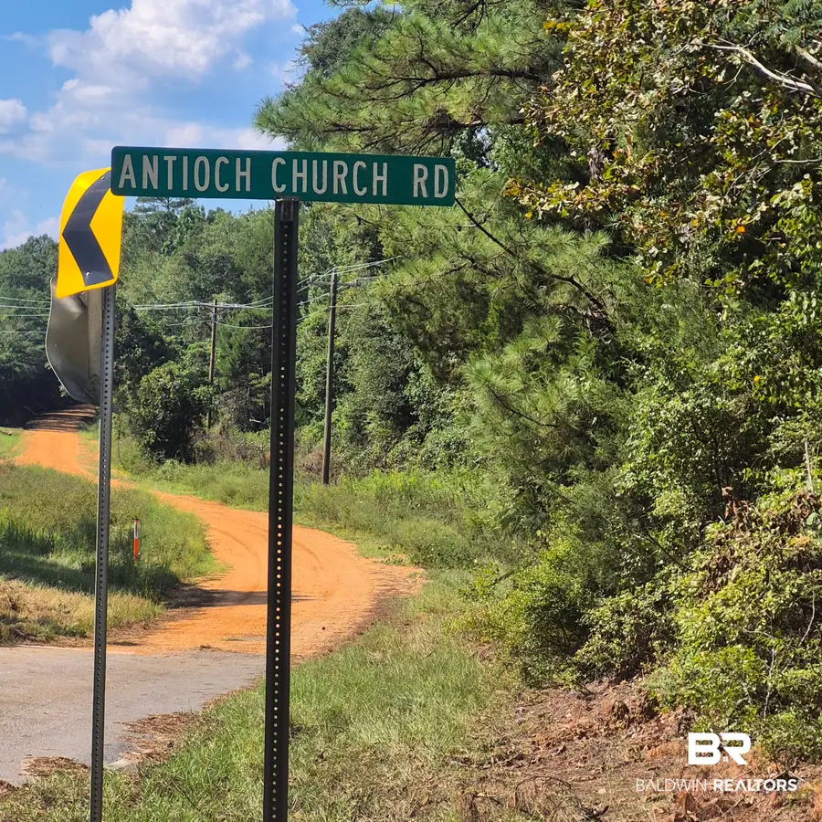 0 Antioch Church Road, Evergreen, AL 36401 - #2