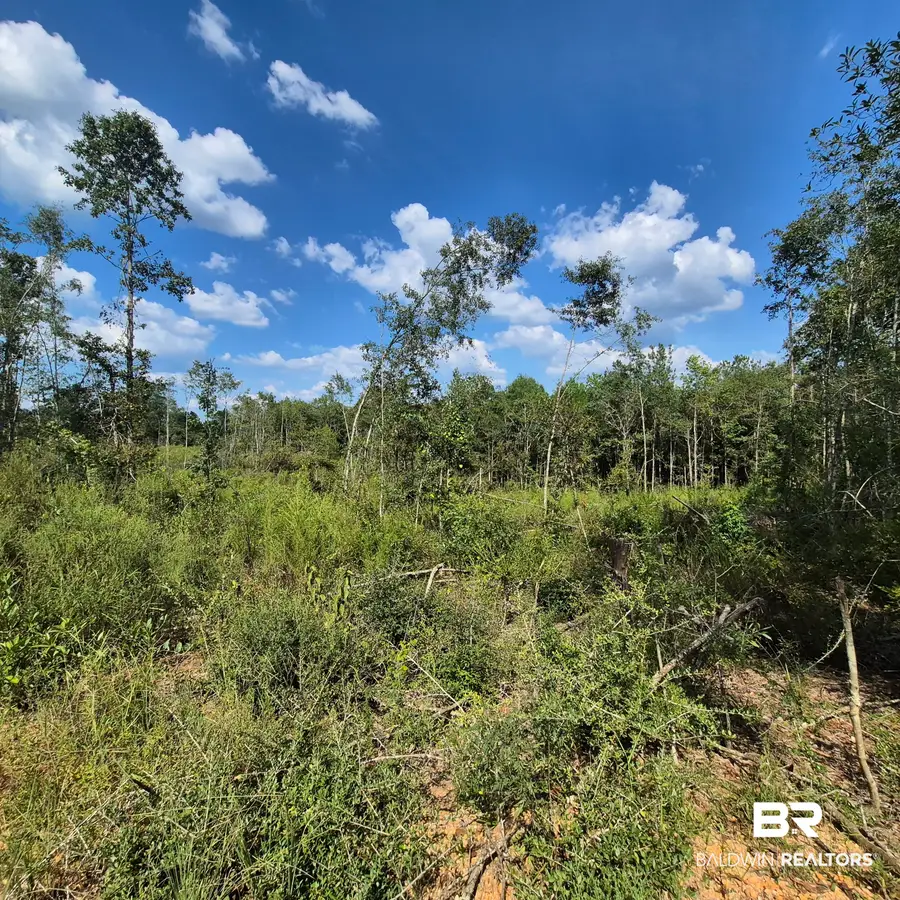 0 Antioch Church Road, Evergreen, AL 36401 - #3