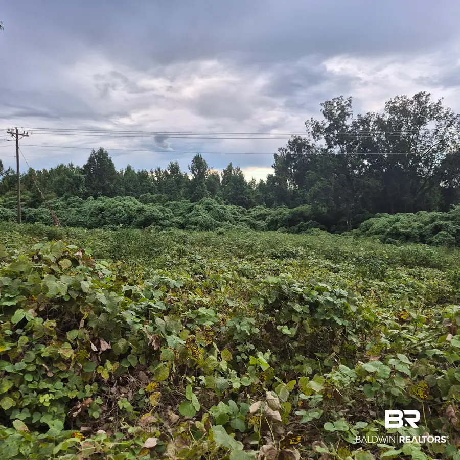 18815 Us Highway 31, Evergreen, AL 36401 - #2