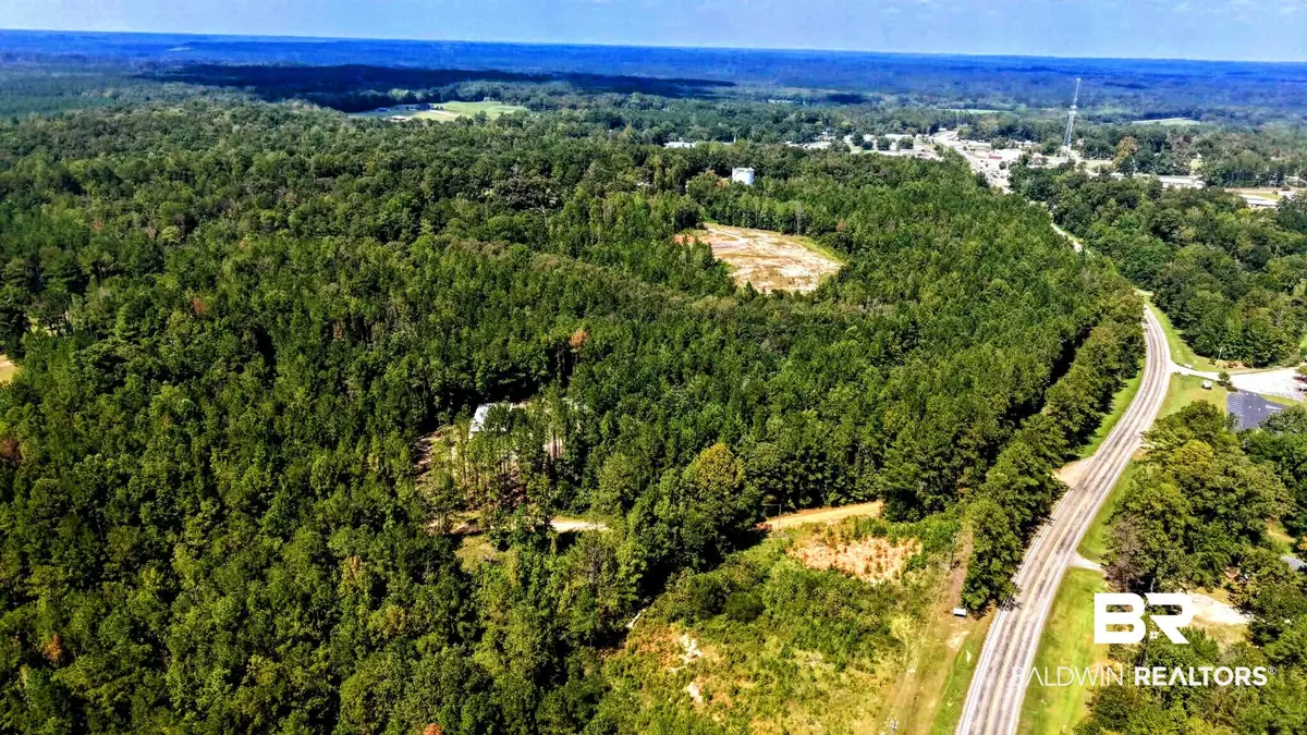 0 Pheasant Road, Gilbertown, AL 36908 - #1