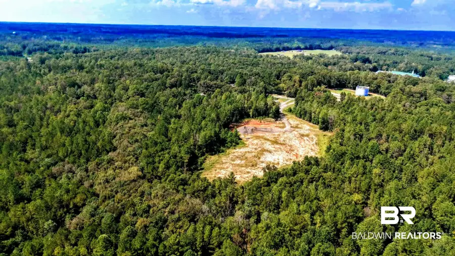 0 Pheasant Road, Gilbertown, AL 36908 - #2