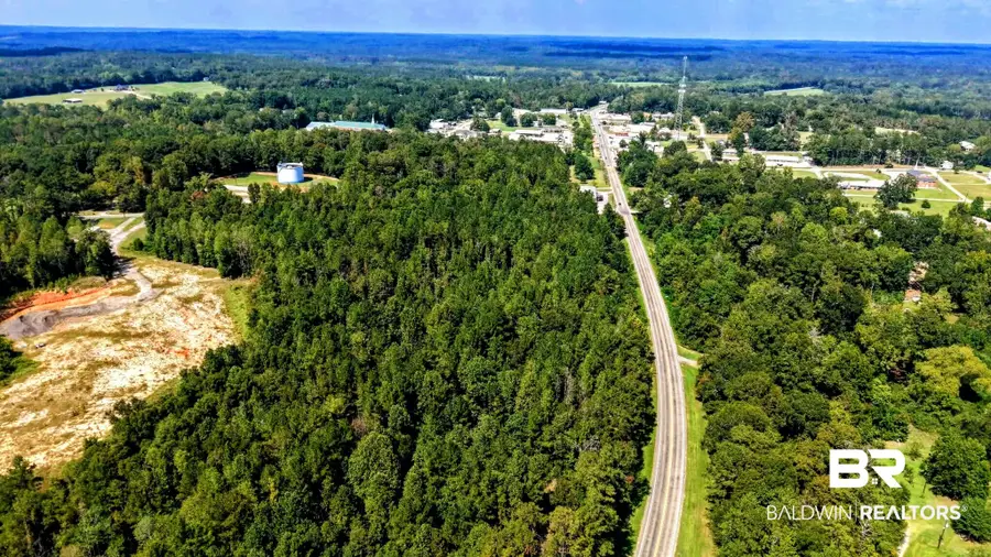 0 Pheasant Road, Gilbertown, AL 36908 - #3