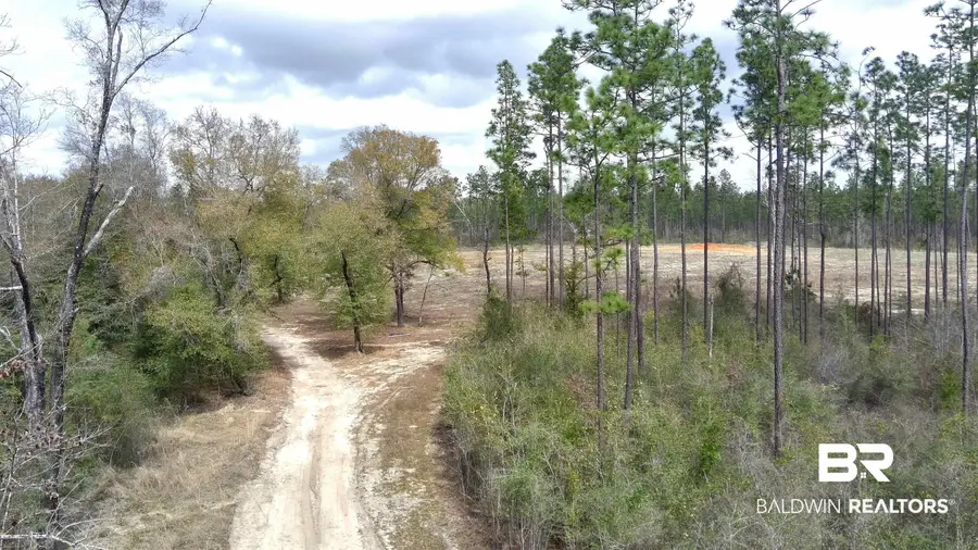 0 Paul Road, Perdido, AL 36562 - #2