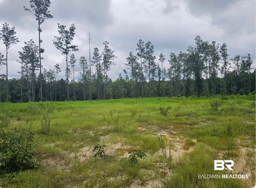 23799 Lonnie Hadley Road #1, Perdido, AL 36562 - #2
