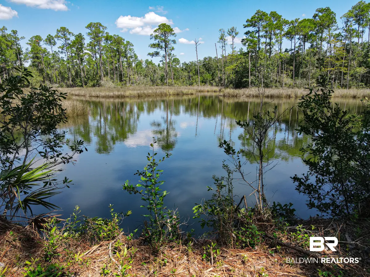 0 Neumann Dr, Elberta, AL 36530 - #1