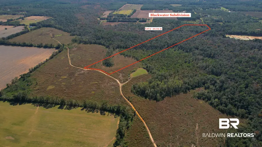 22035 Creekfront Drive, Robertsdale, AL 36567 - #3