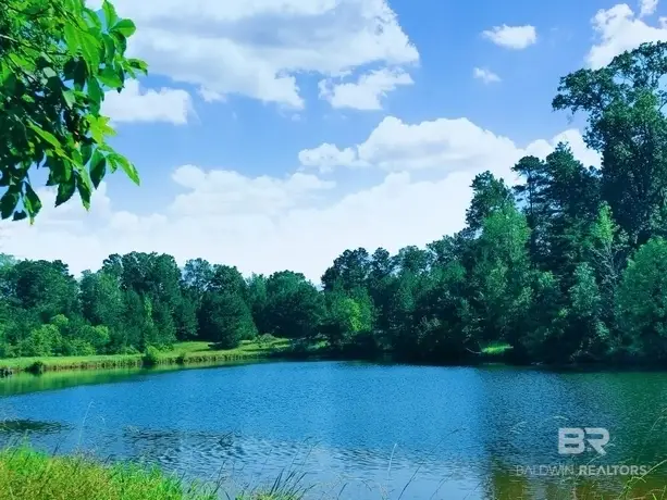 0 Highway 17, Millry, AL 36558 - #2