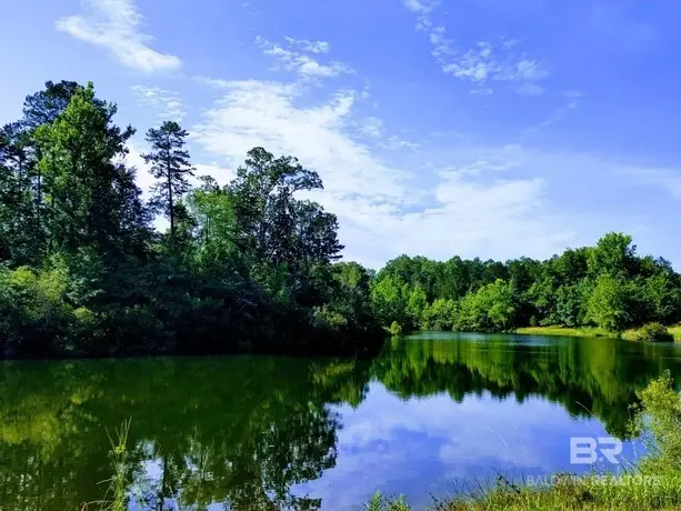 0 Highway 17, Millry, AL 36558 - #3