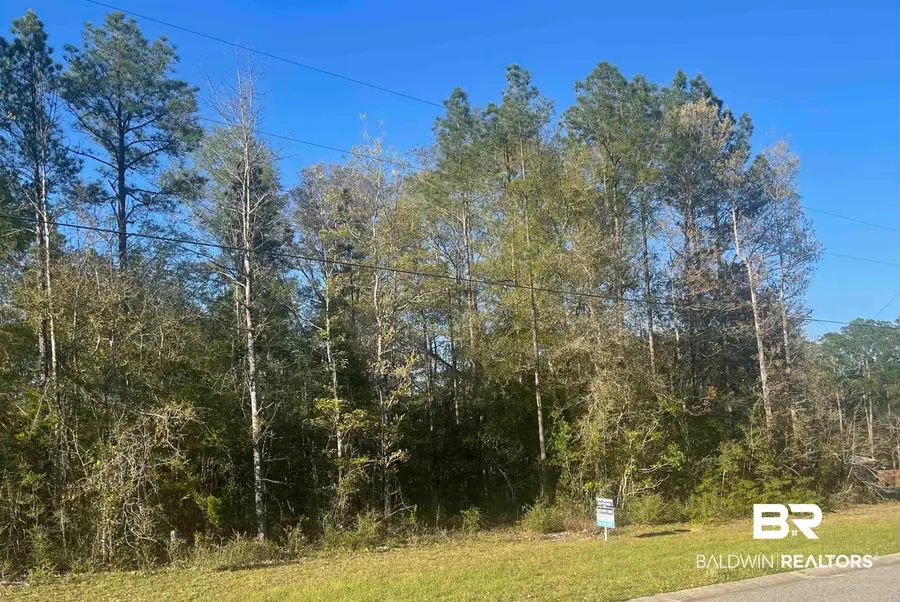 14966 Cayden Circle, Stapleton, AL 36578 - #3