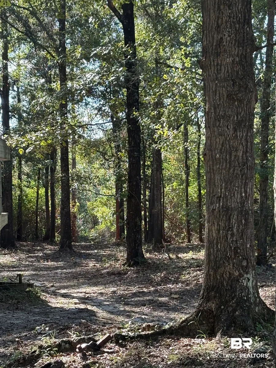 40703 County Road 39, Bay Minette, AL 36507 - #2