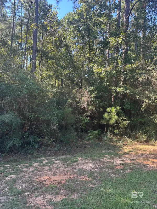 0 Northshore Drive, Bay Minette, AL 36507