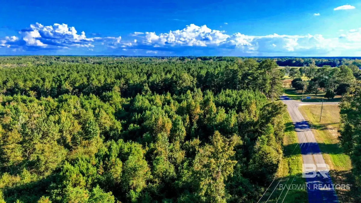 0 Nathan Jordan Road, Millry, AL 36558 - #1
