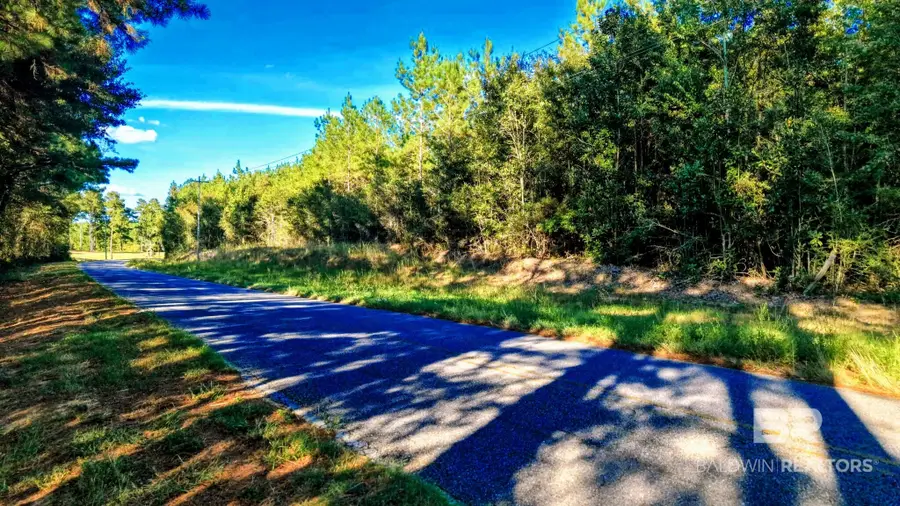 0 Nathan Jordan Road, Millry, AL 36558 - #2
