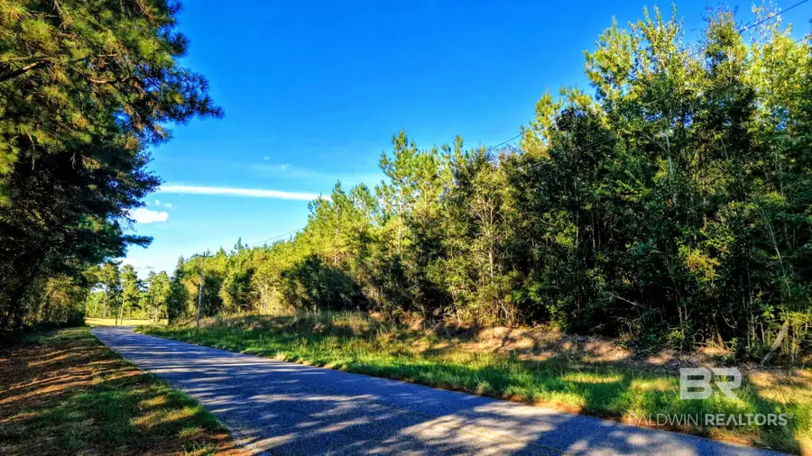 0 Nathan Jordan Road, Millry, AL 36558 - #3