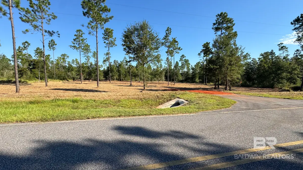 03 Archie Road, Elberta, AL 36530 - #1