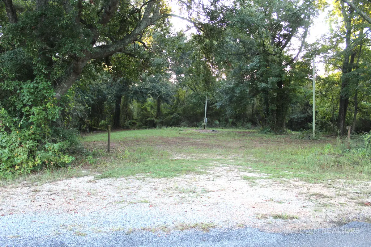 0 Poor House Road, Greenville, AL 36037 - #1