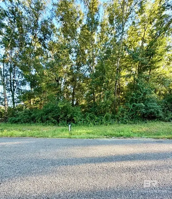 816 E Verbena Avenue, Foley, AL 36535 - #2