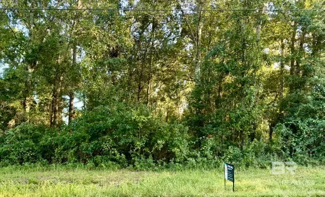 816 E Verbena Avenue, Foley, AL 36535 - #3