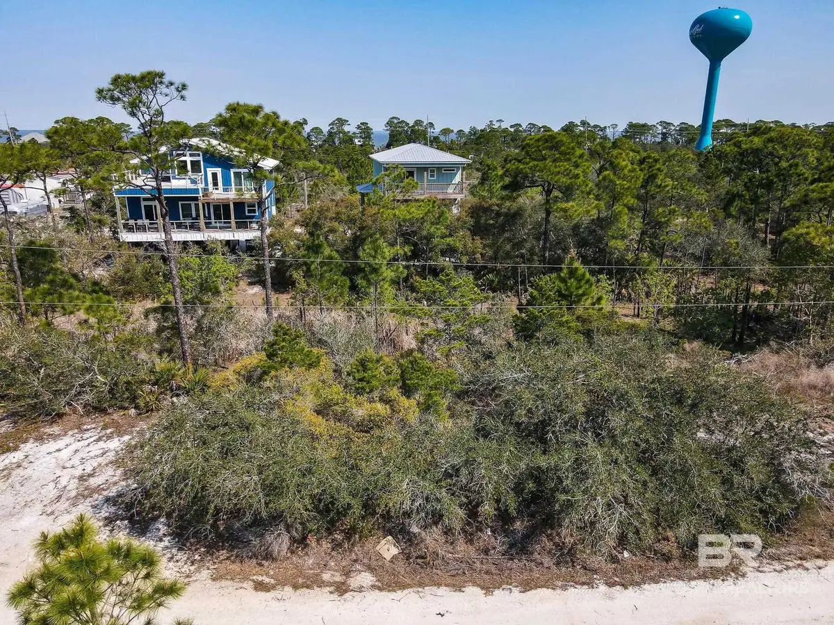 Lot 137 Zeanah Road, Gulf Shores, AL 36542 - #1