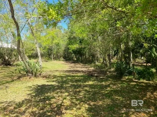 1220 Chaumont Avenue, Dauphin Island, AL 36528 - #1