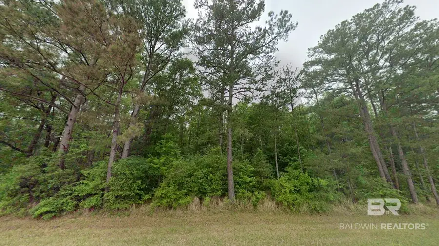 0 W Canaan Road, Stockton, AL 36579 - #2