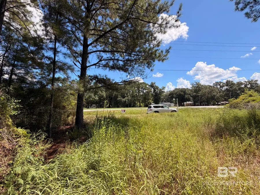 0 Snow Road, Mount Vernon, AL 36560 - #3