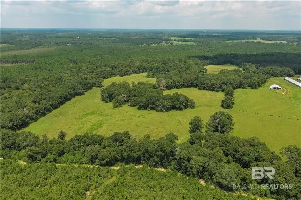 0 Circle R Farm Drive, Florala, AL 36442 - #1