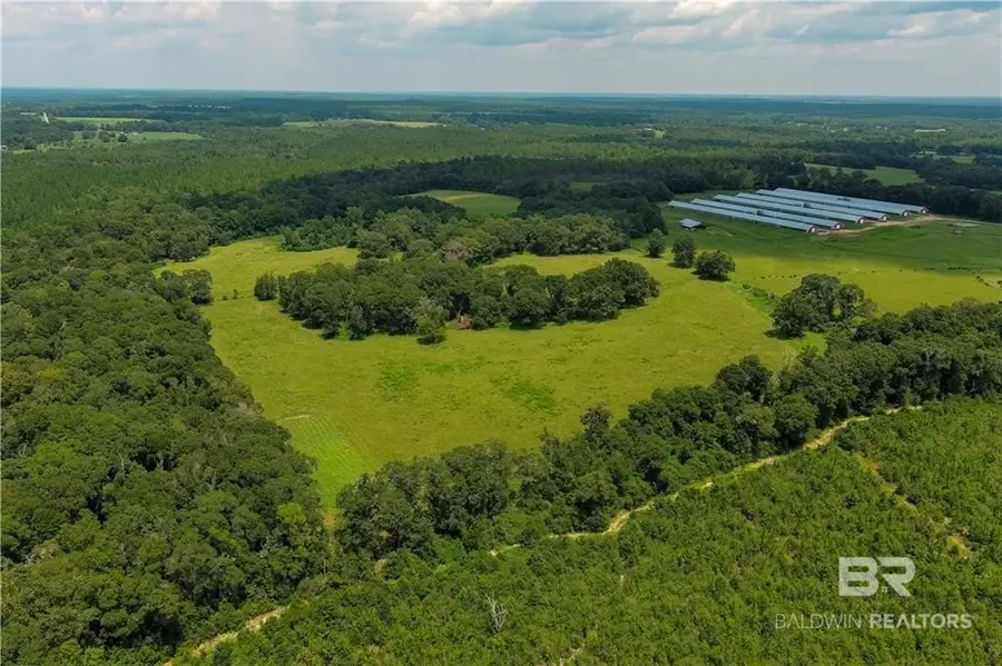 0 Circle R Farm Drive, Florala, AL 36442 - #2