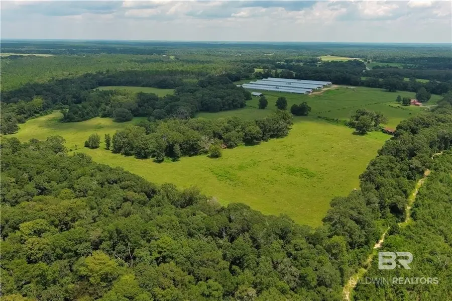 0 Circle R Farm Drive, Florala, AL 36442 - #3